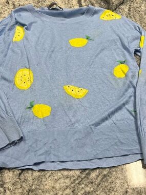 LOFT Light Blue Crewneck Sweater